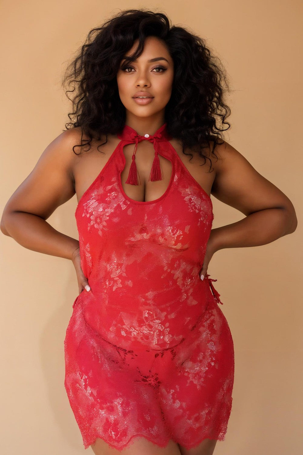 Sheer Hollow-Out Slit Chinese Cheongsam Costume SXJBLIISS.LOVE Chinese Cheongsam, Plus Size Costume
