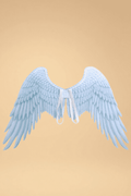 Halloween Angel Wings Costumes SZ _of_bliiss.love_sexy_lingerie_sexy_costume_trendy_and_latest_designs_seductive_lingerie_November_2024