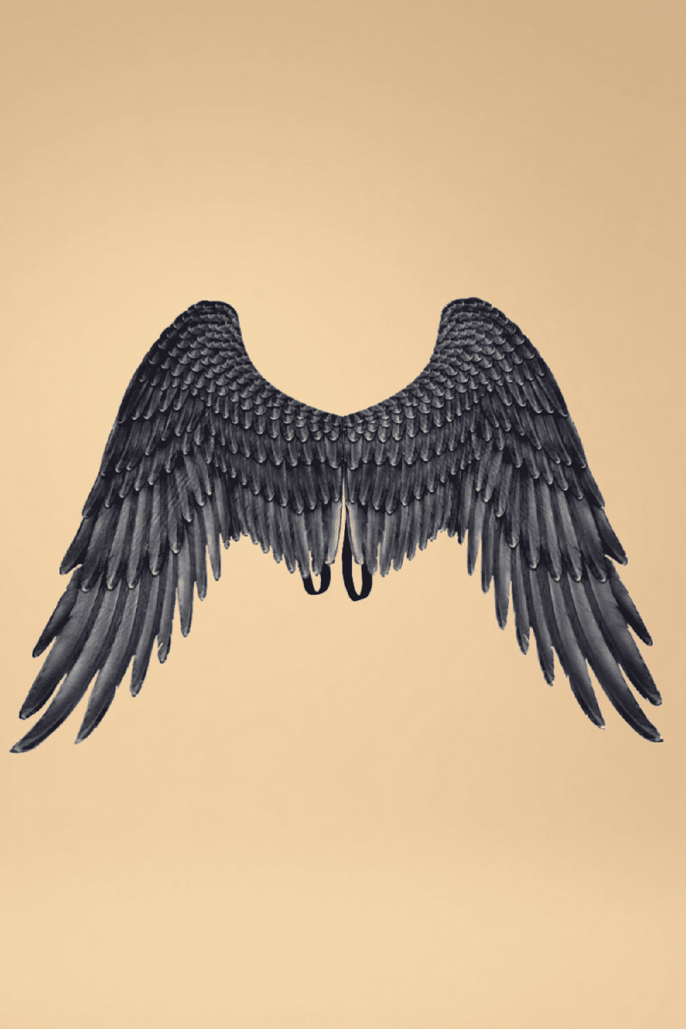 Halloween Angel Wings Costumes SZ _of_bliiss.love_sexy_lingerie_sexy_costume_trendy_and_latest_designs_seductive_lingerie_November_2024