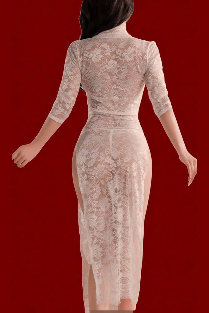 Plus Size Lace Sheer Gown