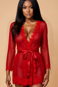 Transparent Lace Robe FNEBLIISS.LOVE robe