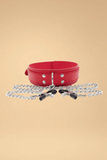 Leather Choker with Nipple Clamps Pleasures SY _of_bliiss.love_sexy_lingerie_sexy_costume_trendy_and_latest_designs_seductive_lingerie_November_2024