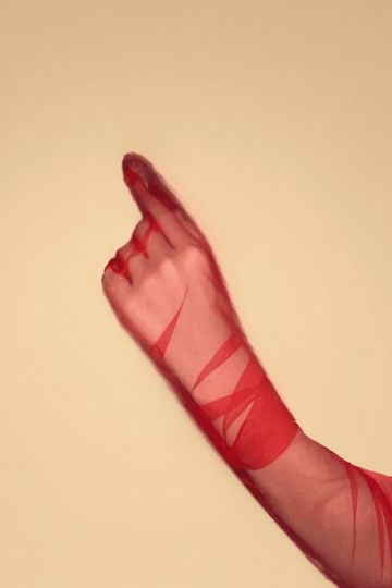 Sheer Mesh Arm Sleeves